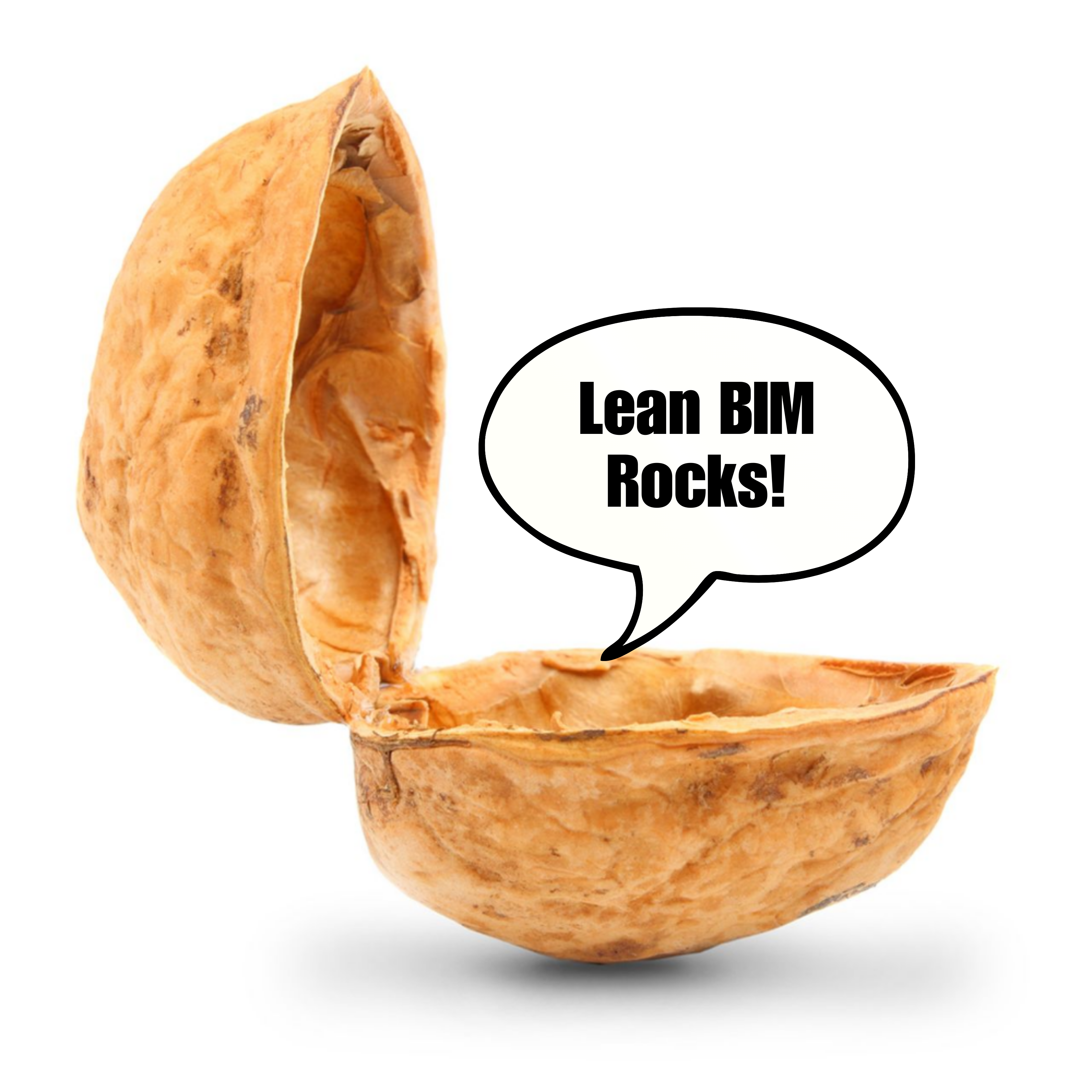 In a nutshell, lean BIM rocks!